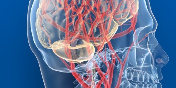 Riflessologia e flusso sanguigno nel cervello