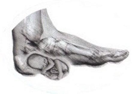 disegno di piede con feto all'altezza del tallone