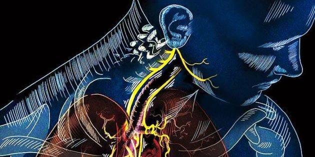 disegno digitale che mostra il nervo vago nel corpo umano
